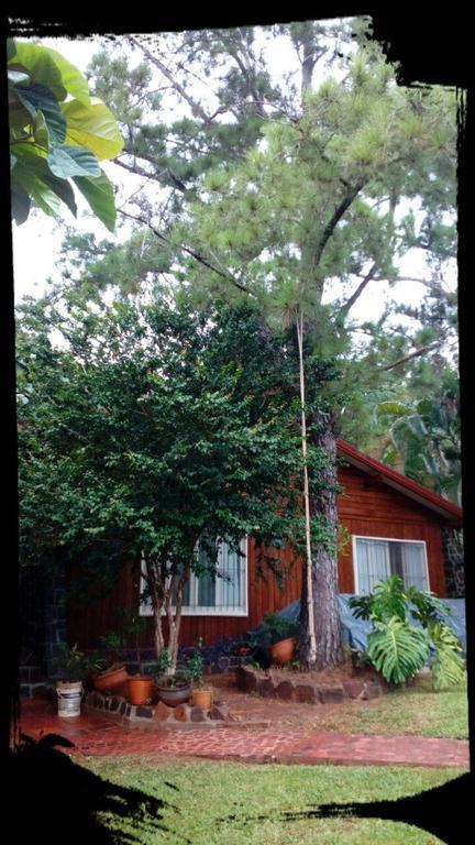 Tucan Hostel Puerto Iguazu Ngoại thất bức ảnh